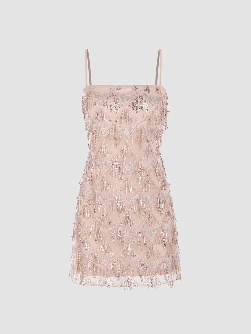 Cider Blush Sequin Fringe Mini Dress